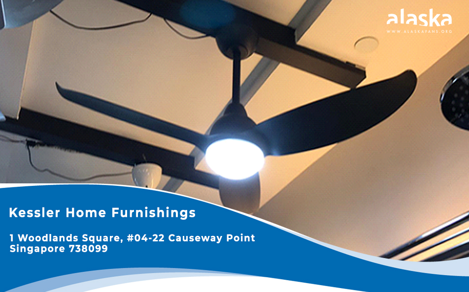 Alaska Ceiling Fan Singapore Widest Variety of Decorative Ceiling Fans