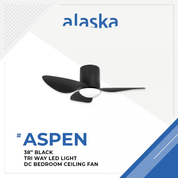 Aspen Curve 38 BLACK