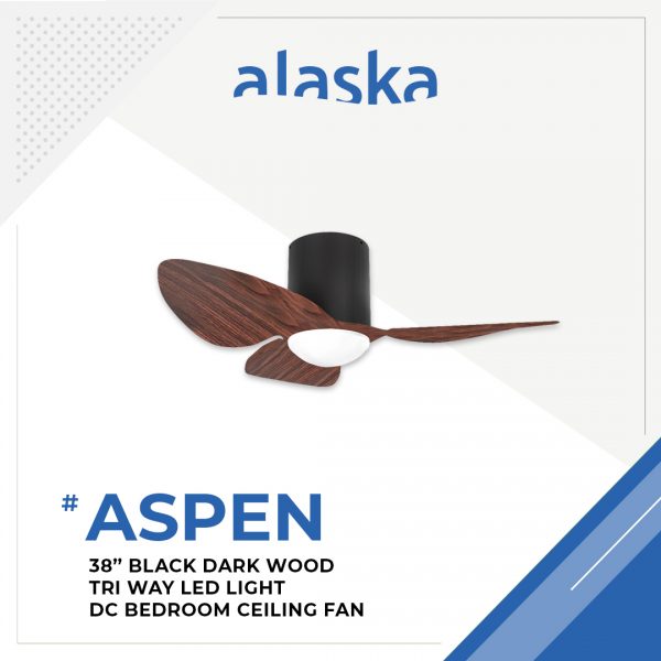 Aspen Curve 38 BLACK DARK WOOD 1