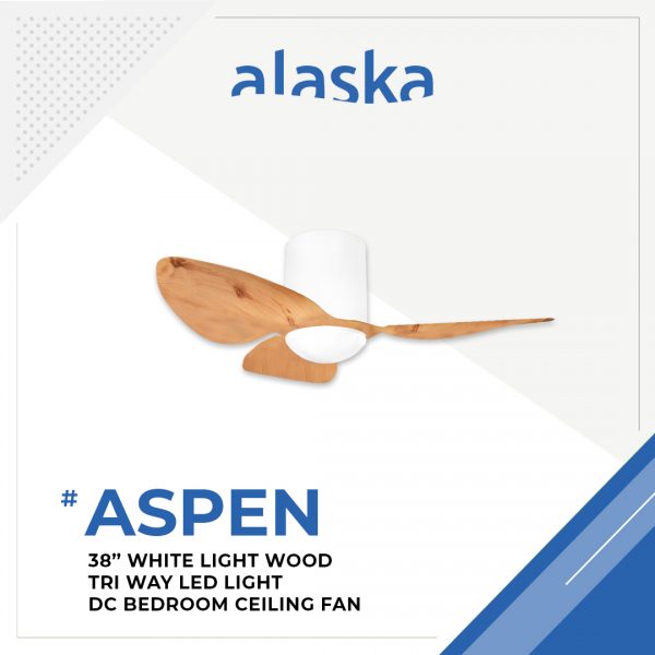 Aspen Curve 38 WHITE LIGHT WOOD