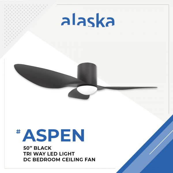 Aspen Curve 50 BLACK 1