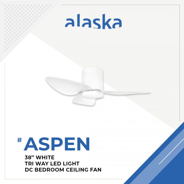 Aspen Slim 38 WHITE