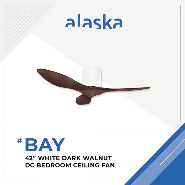 Bay NLO 42 WHITE DARK WALNUT