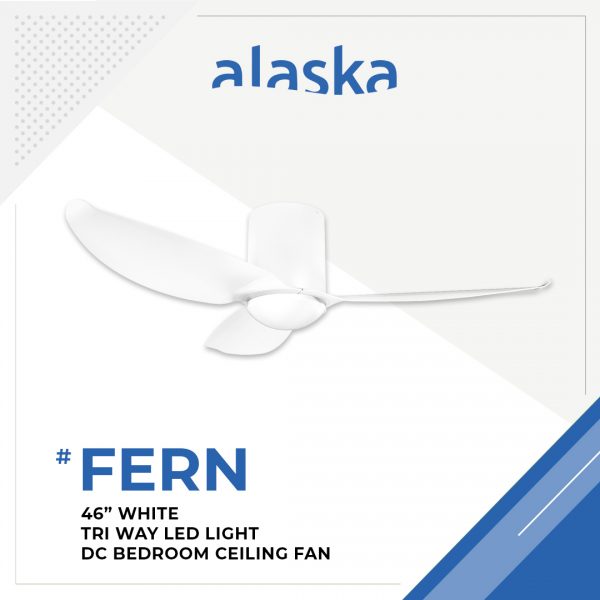 Fern Curve 46 WHITE