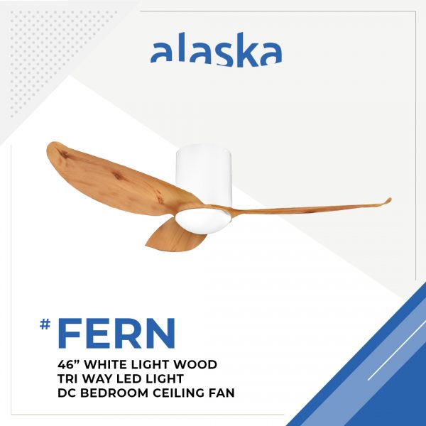 Fern Curve 46 WHITE LIGHT WOOD