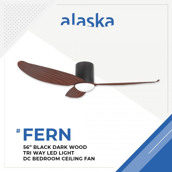 Fern Curve 56 BLACK DARK WOOD