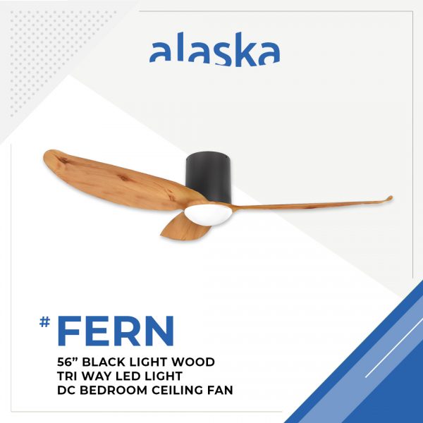 Fern Curve 56 BLACK LIGHT WOOD