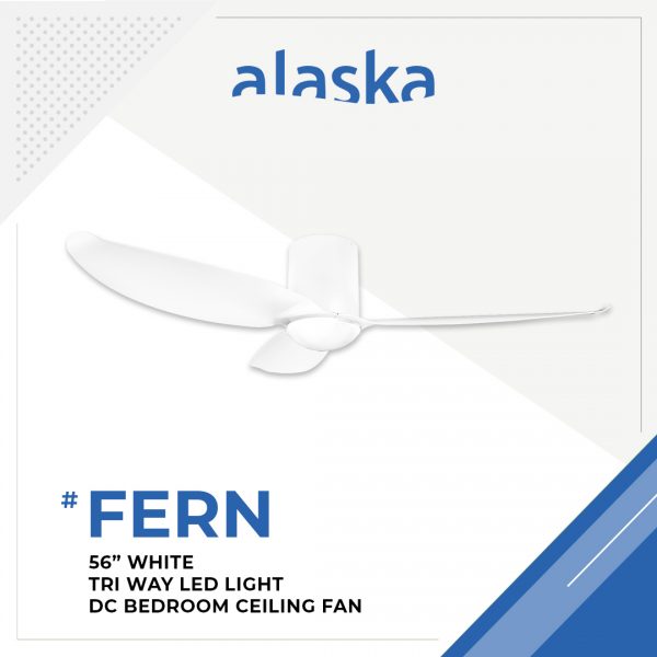 Fern Curve 56 WHITE