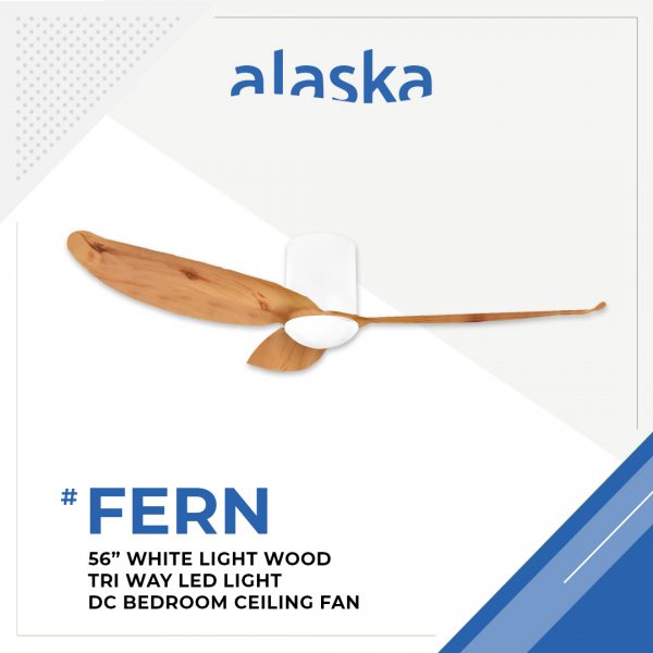 Fern Curve 56 WHITE LIGHT WOOD