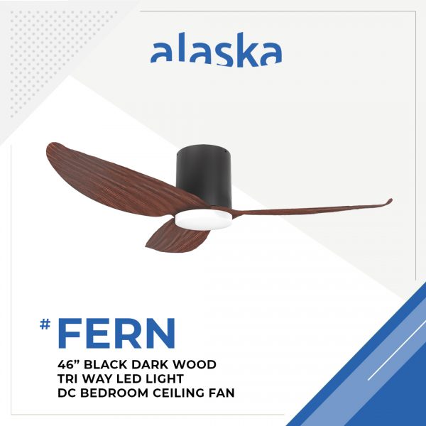 Fern Slim 46 BLACK DARK WOOD