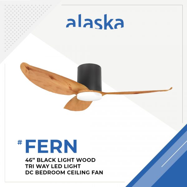 Fern Slim 46 BLACK LIGHT WOOD